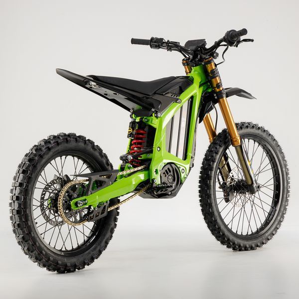 ARCTIC LEOPARD XE PRO S ENDURO ARCTIC LEOPARD XE PRO S ENDURO фото