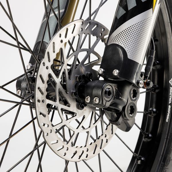 ARCTIC LEOPARD XE PRO S ENDURO ARCTIC LEOPARD XE PRO S ENDURO фото