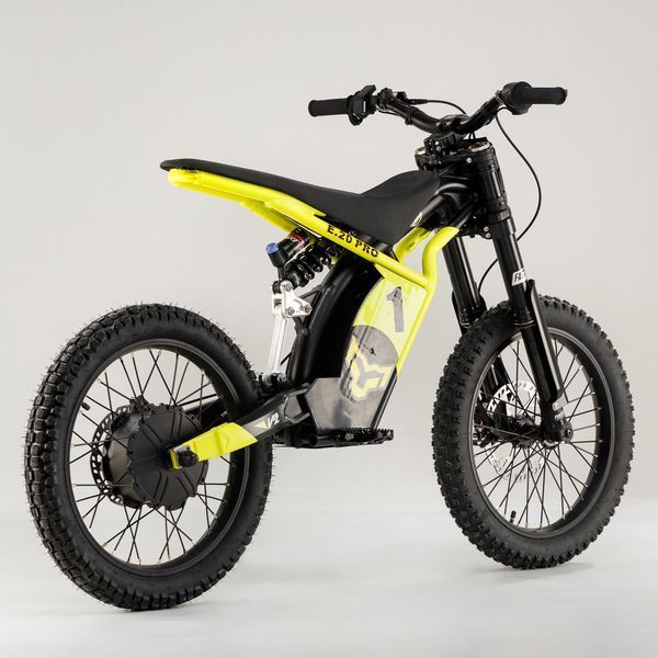 ARCTIC LEOPARD E-20PRO 600Вт, 48v13ah ARCTIC LEOPARD E-20PRO фото
